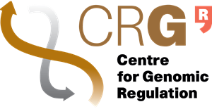 Logo de la organización